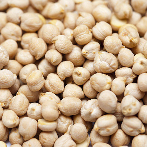 Healthy And Natural White Chickpeas Grain Size: Standard