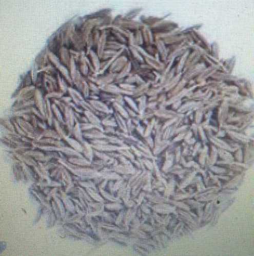 Natural Dried Cumin Seeds