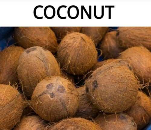 Common 100% Pure Husked Coconut