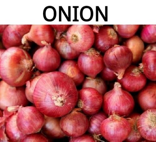 100% Pure Natural Red Onion