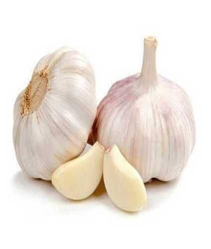 Cooking Fresh Raw Garlic Shelf Life: 3 Months