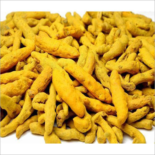 Healthy and Natural Dried Yellow Turmeric Finger
