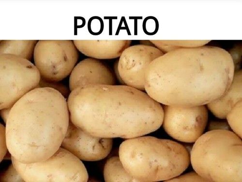 Pure Natural Raw Potatoes