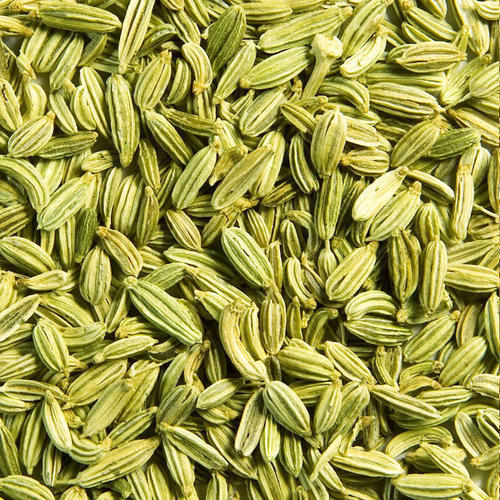 Healthy and Natural Dried Green Fennel Seeds