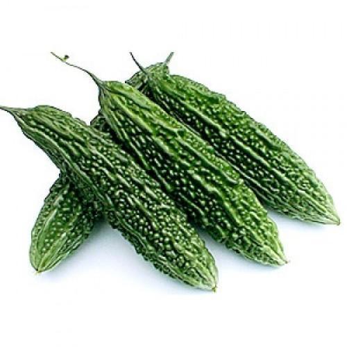 Healthy and Natural Fresh Green Bitter Gourd