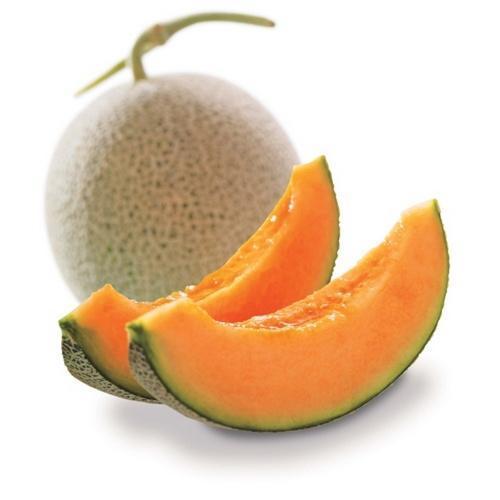 Healthy and Natural Organic Fresh Muskmelon