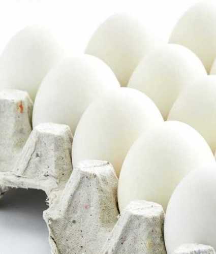 Broiler Eggs 3-5 Inch Egg Origin: Chicken