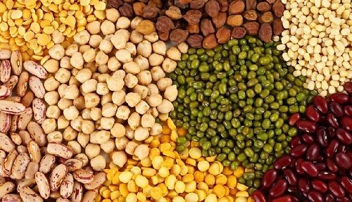 High Protein Indian Pulses