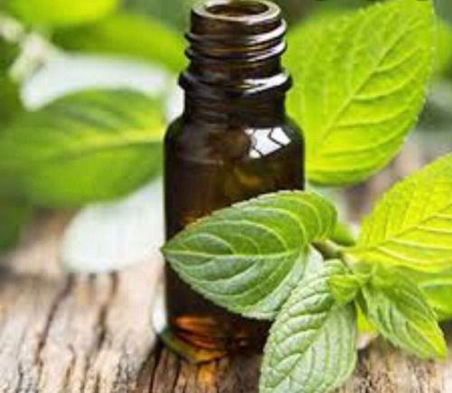 Provide Pain Relief Organic Paper Mint Oil