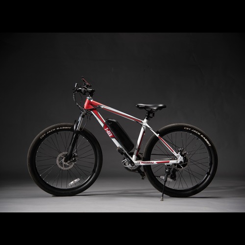 TRex Electric Cycle at Best Price in Goa, Goa Blive Ev Store