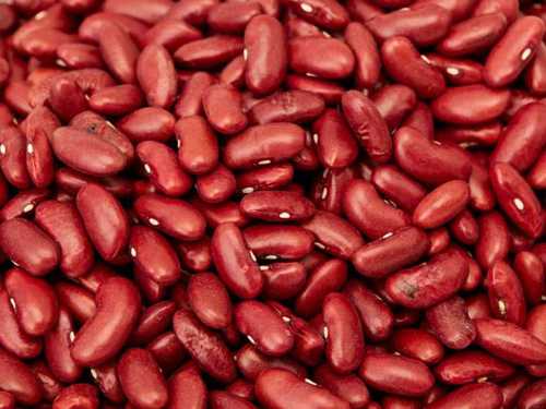 Cooking Fresh Kidney Beans