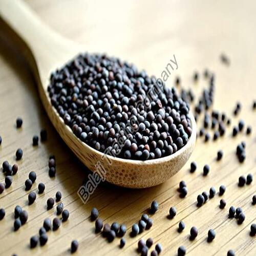 Black Mustard Seeds - 20-25kg Jute Bag | Organic, Gluten Free, No Added Preservatives, Very Good Quality for Cooking