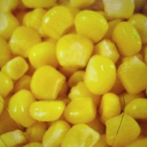 Rich Nutrition Sweet Corn Texture: Fresh