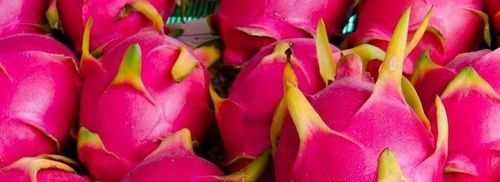 Fresh and Healthy Dragon Fruit