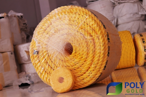 PP Rope (Poly Gold)