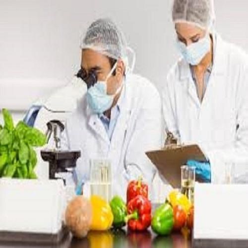 Agro Food Products Testing Services