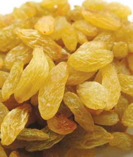 Dried Golden Yellow Raisins