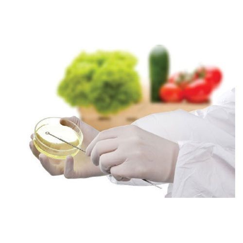 Food Product Testing Services