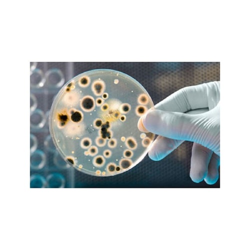 Microbiological Analysis Services By APEX TESTING AND RESEARCH LABORATORY