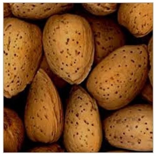 Premium Grade Shelled Almond