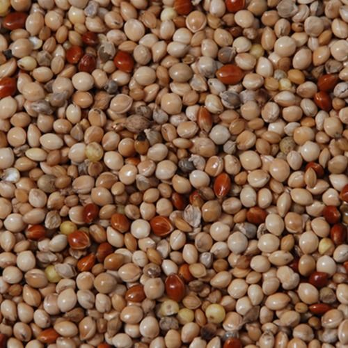 100% Organic Mix Millet Moisture (%): Less Than 14%