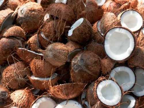 Brown A Grade Fresh Coconut