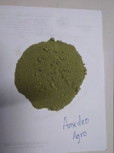 Natural Green Capsicum Powder