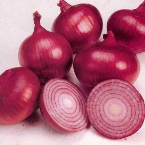 Organic Fresh Red Onion