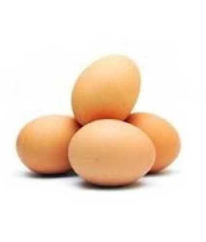 High Protein Brown Eggs