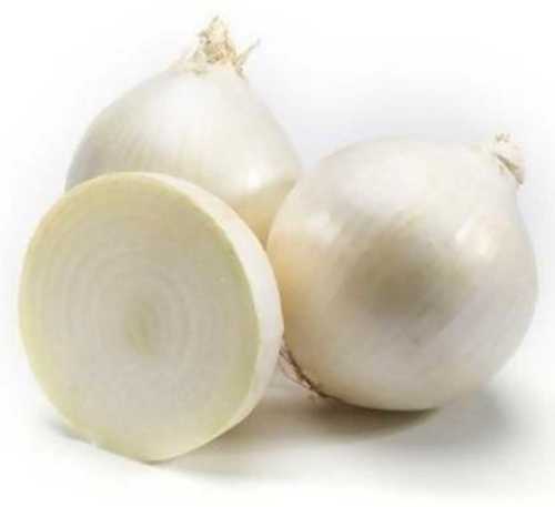 A Grade Sweet Onion