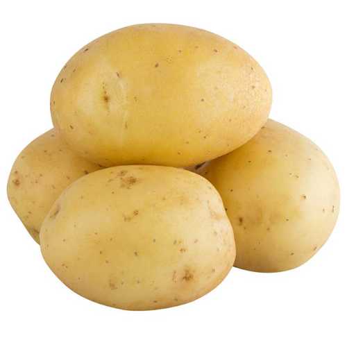 Floury Texture Fresh Potatoes Shelf Life: 15-30 Days