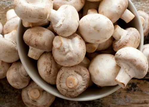 Organic White Button Mushroom