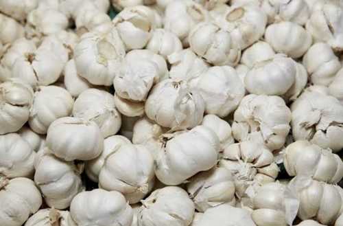 Organic White Fresh Garlic
