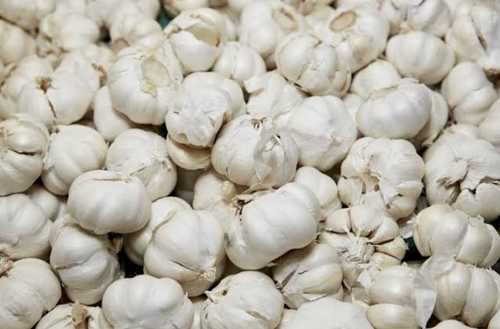 Organic White Fresh Garlic Shelf Life: 6 Months