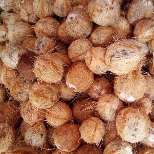 स्वस्थ और प्राकृतिक भूसा हुआ नारियल