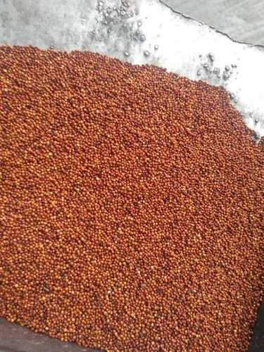 Natural Special Organic Clean Fine Ragi Finger Millet