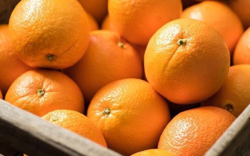 Healthy and Natural Organic Fresh Orange