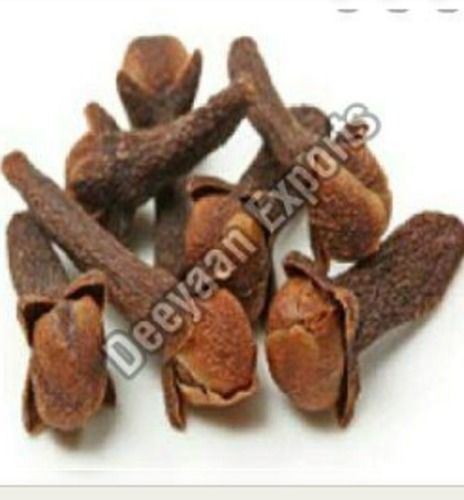 Cloves Seed