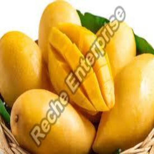 Healthy And Natural Fresh Mango Origin: India