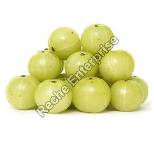 Green Healthy And Natural Organic Fresh Gooseberry