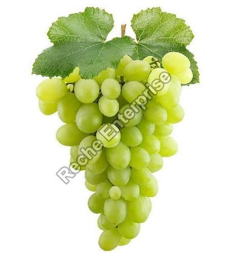Healthy and Natural Organic Fresh Green Grapes