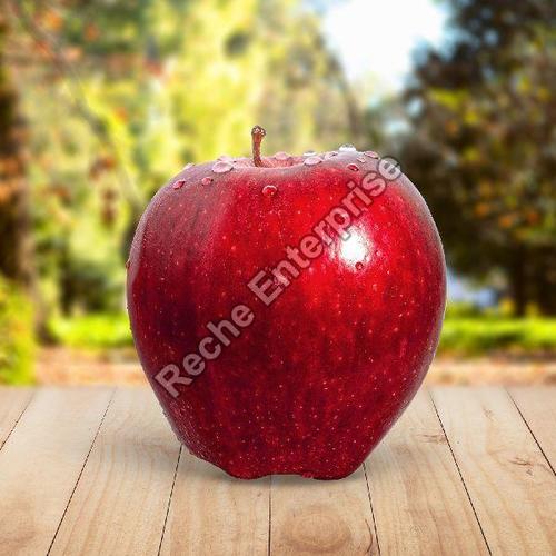  स्वस्थ और प्राकृतिक ऑर्गेनिक ताज़ा लाल सेब 