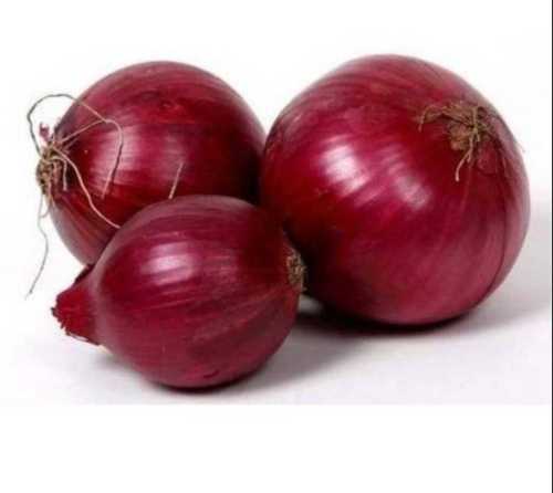 Natural Fresh Red Onions - 100% Organic, Round Shape, Ideal for Cooking, 15-30 Days Shelf Life | Perfect for Culinary Applications