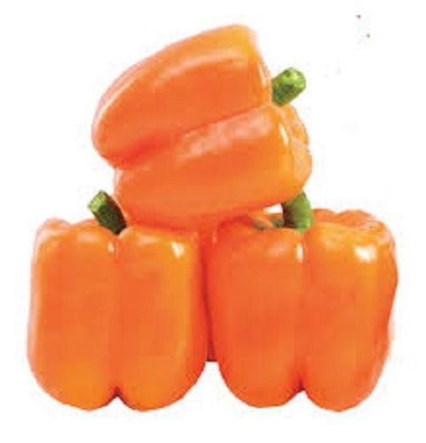 Organic Fresh Orange Capsicums