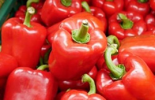 Organic Fresh Red Capsicums