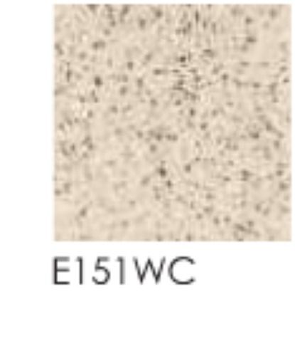 Acid-Resistant Water Resistance Plain Tiles