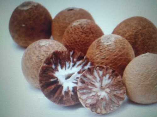 Anti-cavity Effect Betel Nut