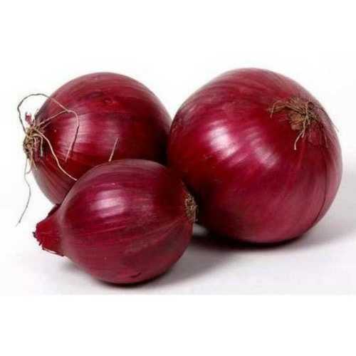 Cooking Fresh Red Onion