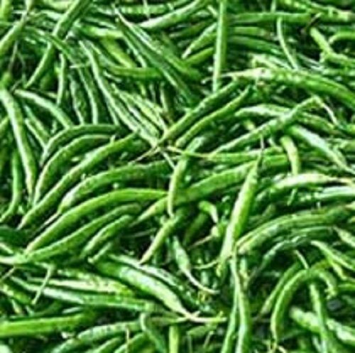 Natural Fresh Spicy Green Chilies