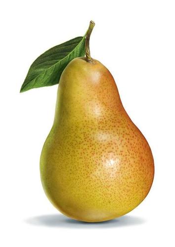 Pure Natural Fresh Pear